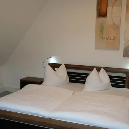 Hotel Sophienhoehe 4*