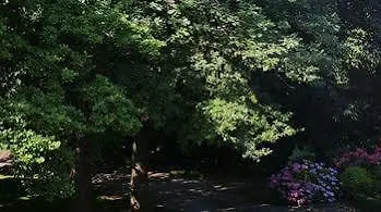 Отель Sophienhoehe 4*