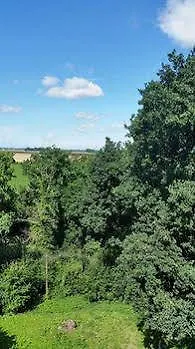 Отель Sophienhoehe 4*