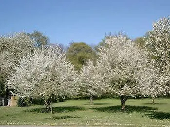 Sophienhoehe Hotel Kerpen (North Rhine-Westphalia)