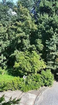 Sophienhöhe Hotel Kerpen (North Rhine-Westphalia)